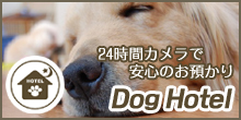 Dog＆Cafe Noir（ノアール）｜三重県志摩市・DOGHOTEL・PETHOTEL